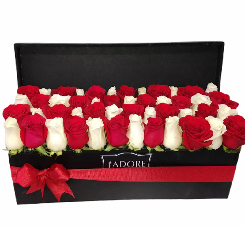 Arreglo de 48 rosas
