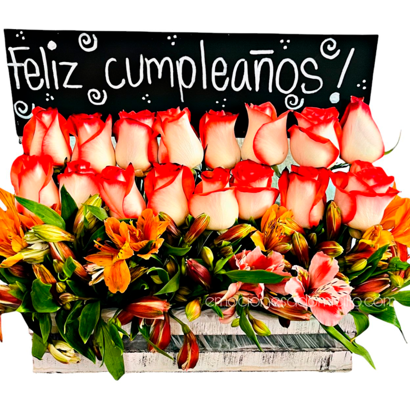 Rosas Feliz Día